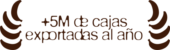 M&aacute;s de 5 millones de cajas exportadas al a&ntilde;o